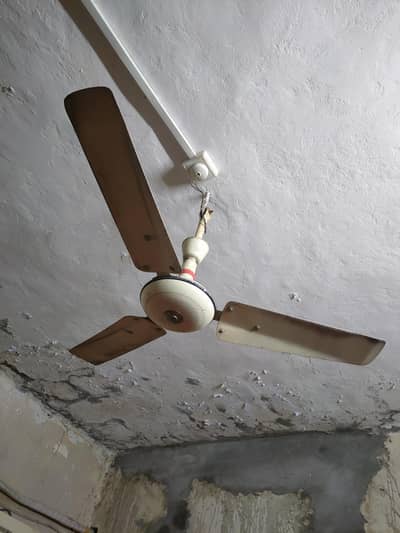 Ceiling Fan (Rahber)