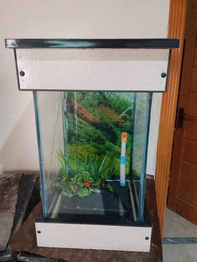Aquarium