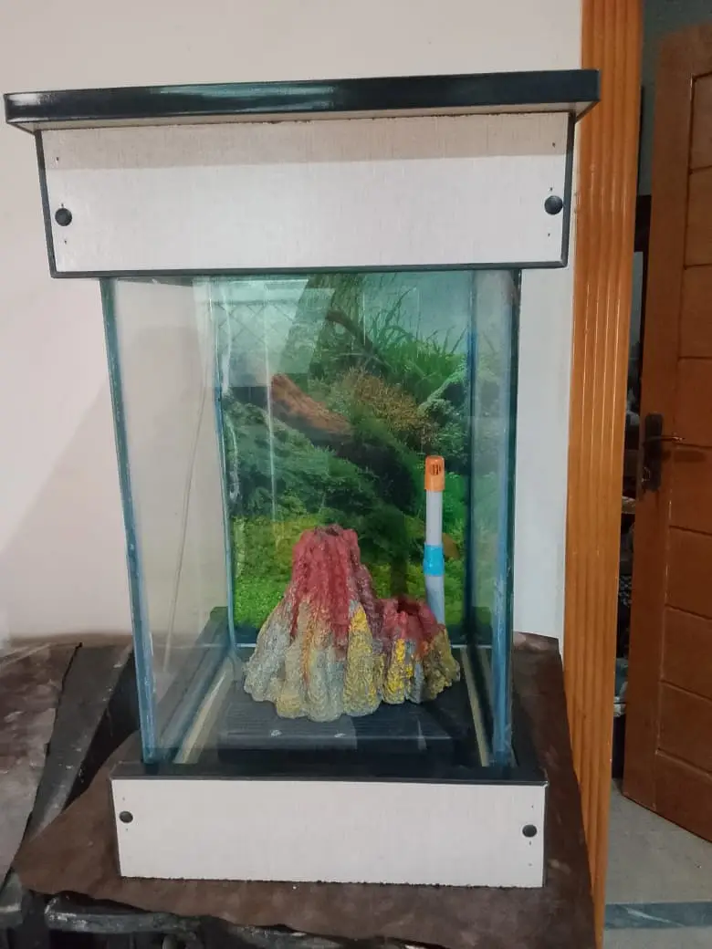 Aquarium — photo 2
