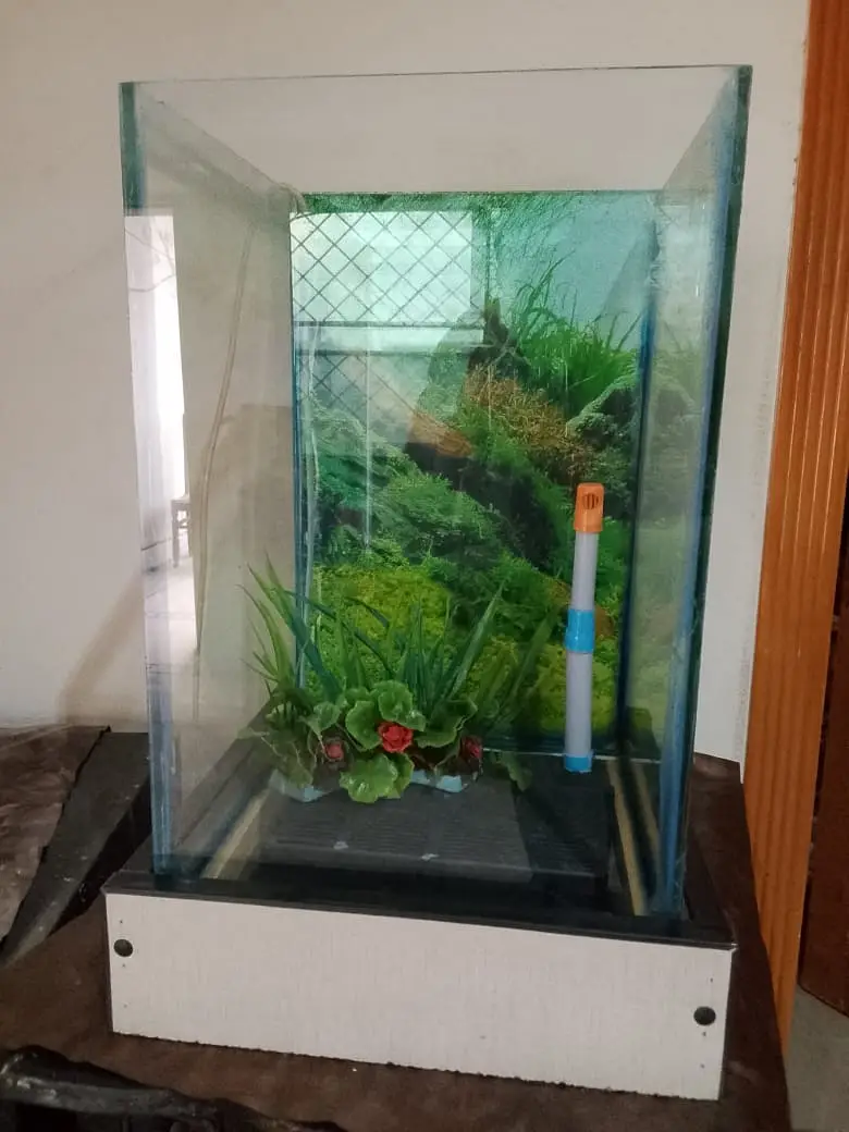 Aquarium — photo 3
