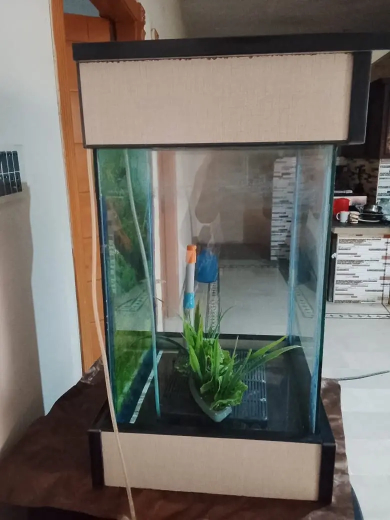 Aquarium — photo 4