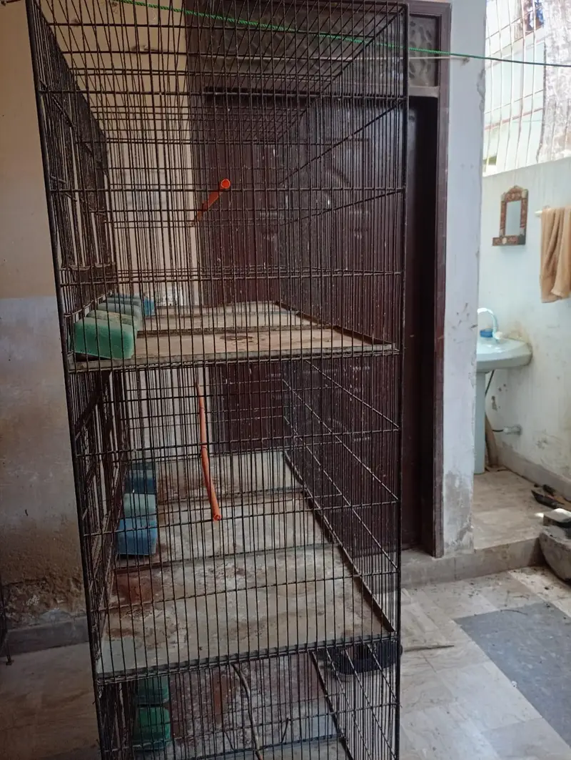 2 Cages For sale Good condition 12 portion cage — photo 3