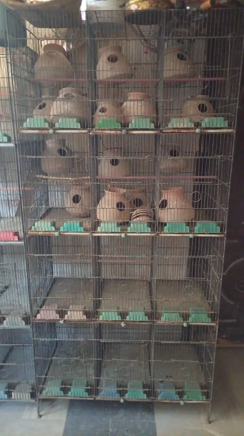 2 Cages For sale Good condition 12 portion cage — photo 5