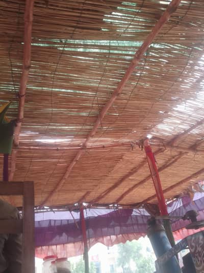 30 Baans Saaf condition main available hain Aur 3 Patal 10.10 fit ki