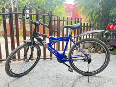 Cycle full sizee