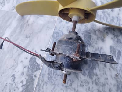 12 watt Motor