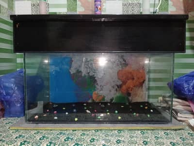 fish aquarium for sale only 3000 final no bargain