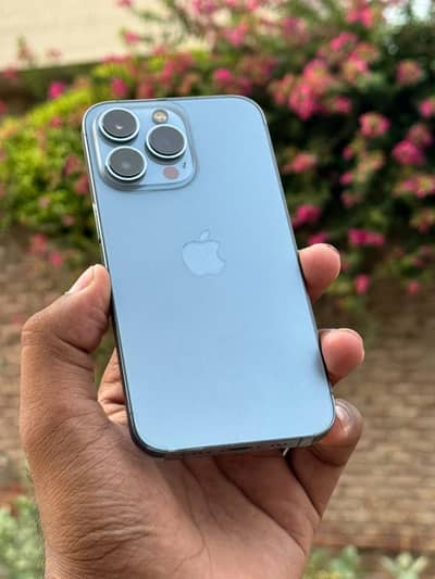 Apple iPhone 13 Pro dual pta