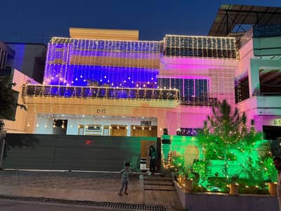Fairy lights decor and sound system