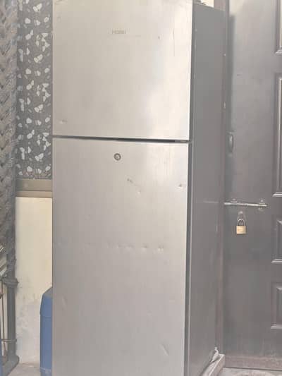 hair model freezer