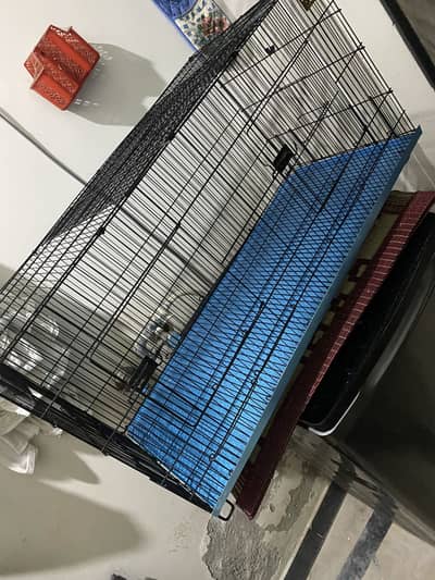 Brand New Parrots Cage