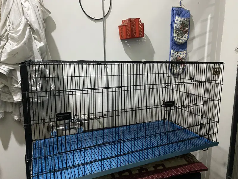 Brand New Parrots Cage — photo 2