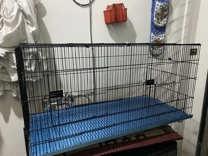 Brand New Parrots Cage — photo 3