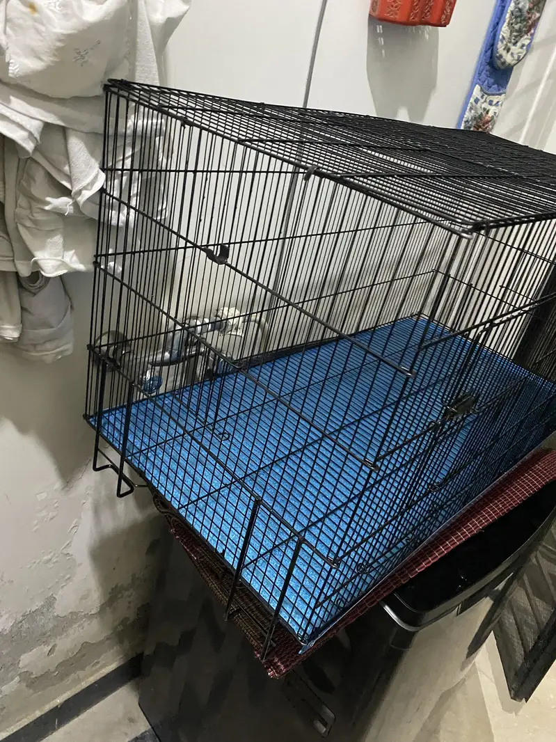 Brand New Parrots Cage — photo 4