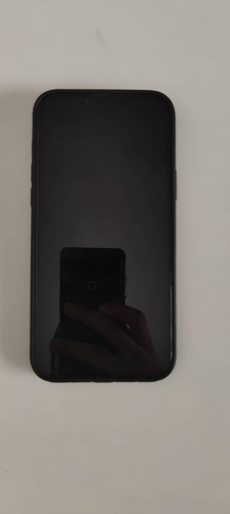 IPHONE 13 PRO MAX 1