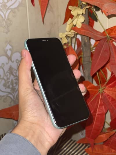 Apple iPhone 11 non pta sim working 128 gb