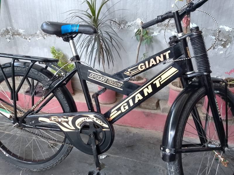 20 size cycle 0
