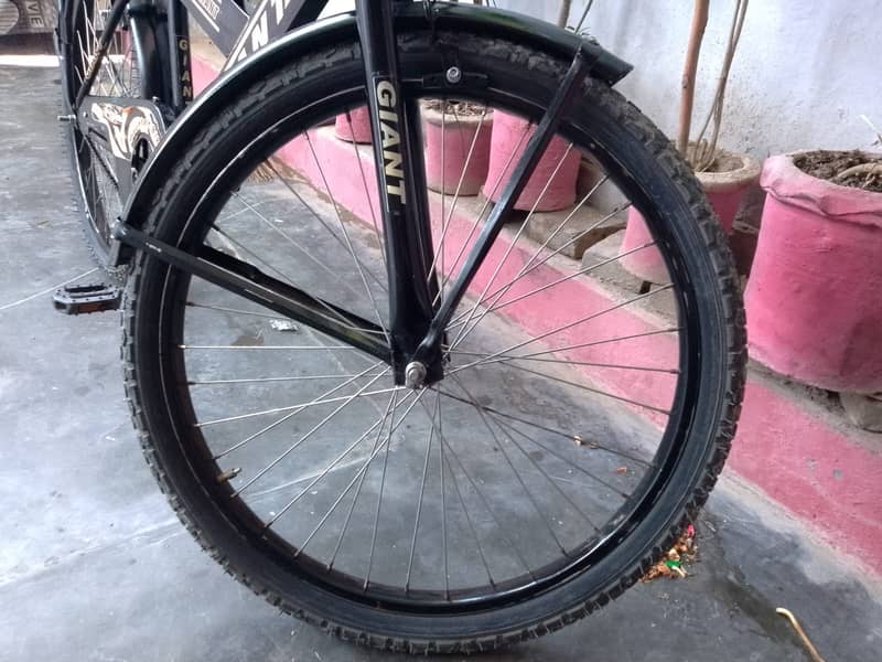 20 size cycle 1