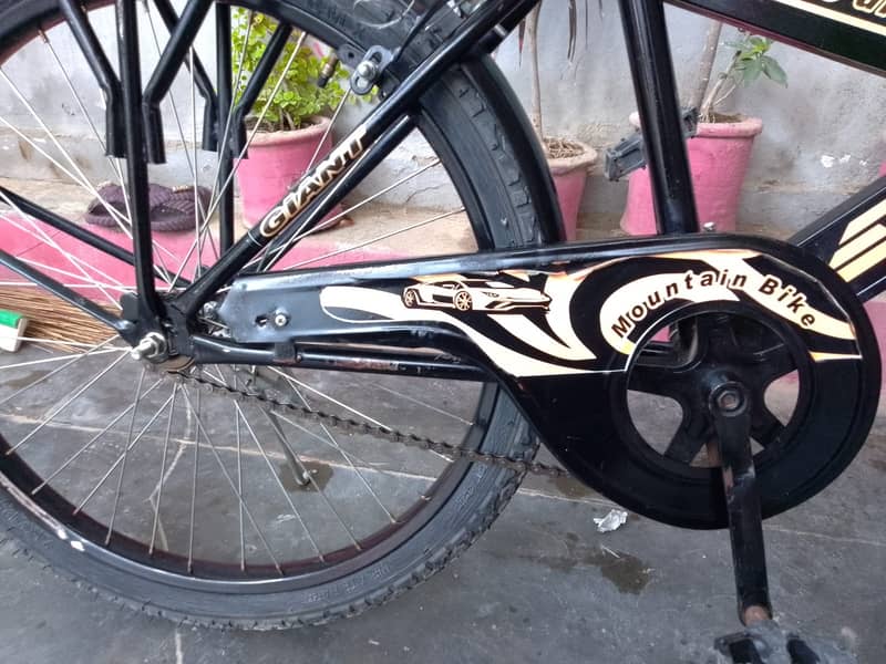 20 size cycle 2