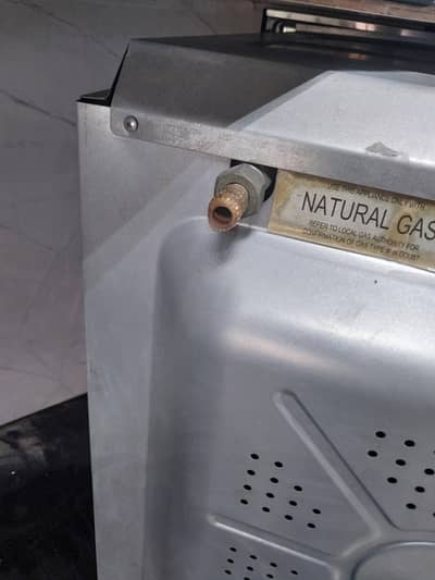 electric and gas oven
