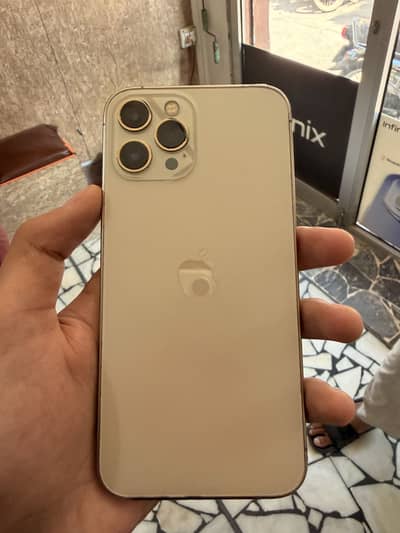 Apple iPhone 12 Pro Max