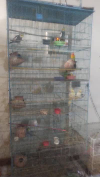 birds cage