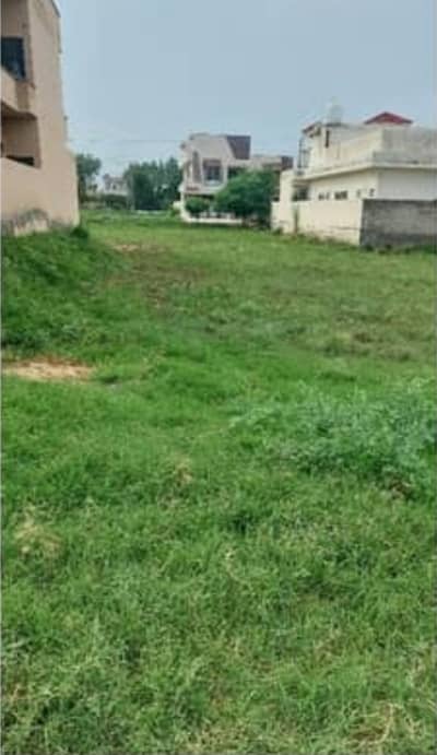 1 Kanal Plot For Sale In Model Town