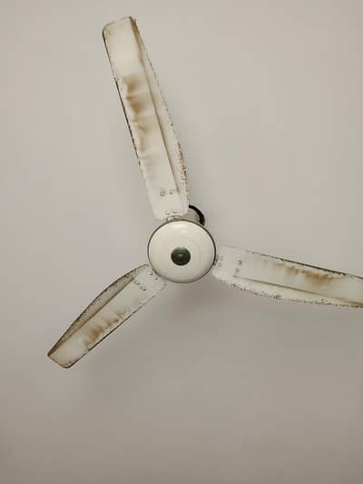 ceiling fan