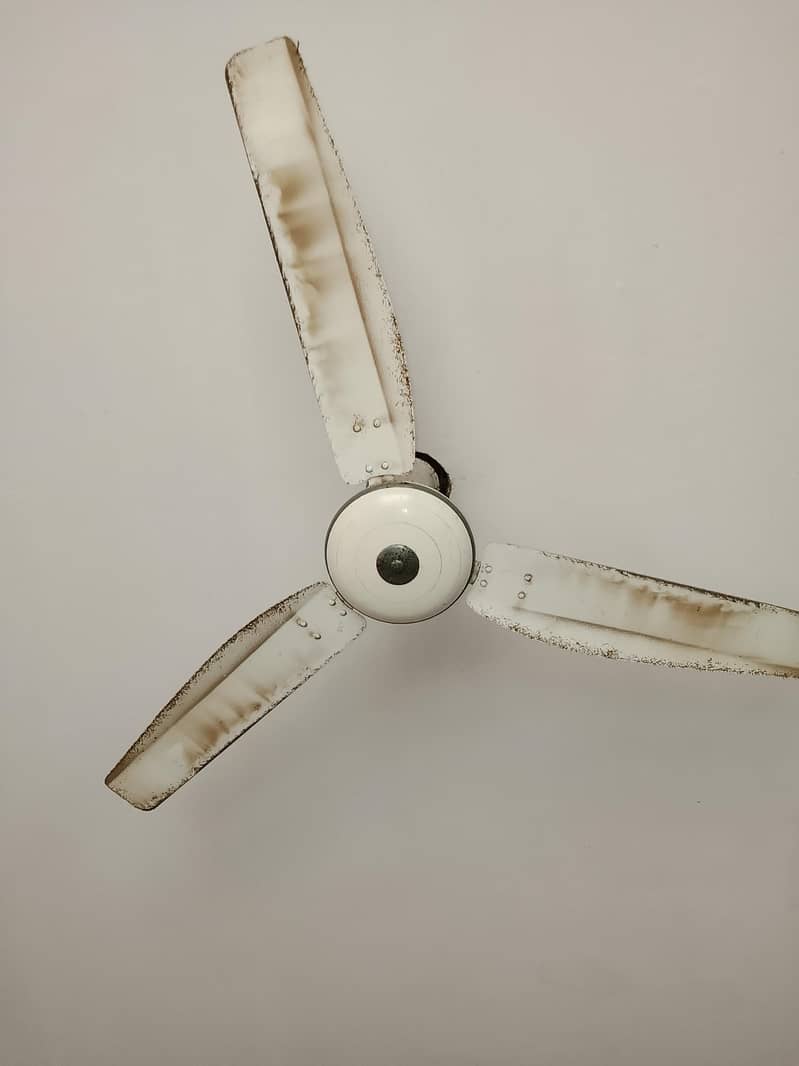 ceiling fan 0