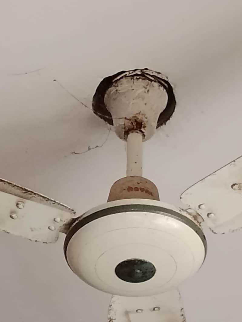 ceiling fan 1