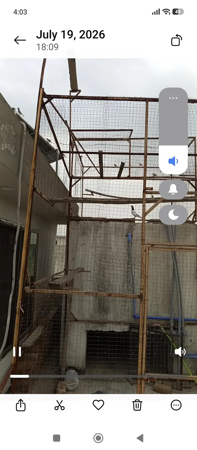 kabootron k 2 jaal — photo 2