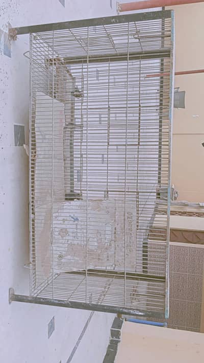 Steel Cages and Australian Birds