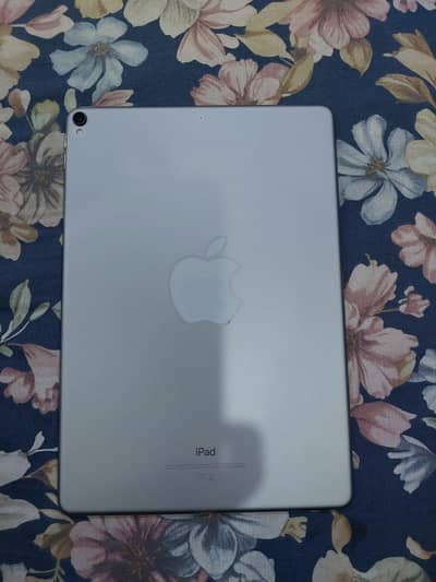ipad pro 10.5 256gb