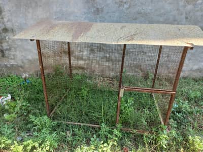 for hens pinjra