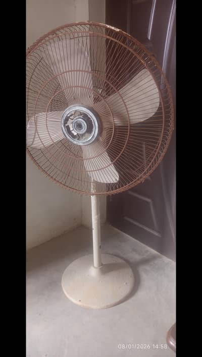 padistal fan