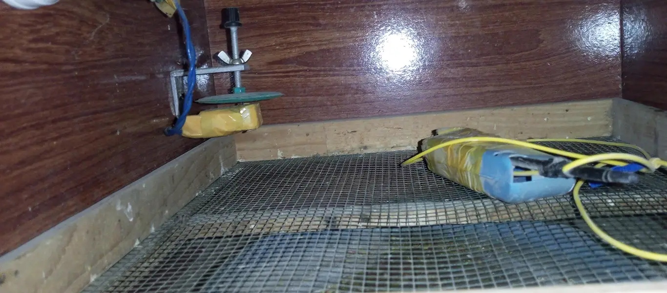 Egg Machine Incubators — photo 2