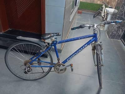 cycle for sale