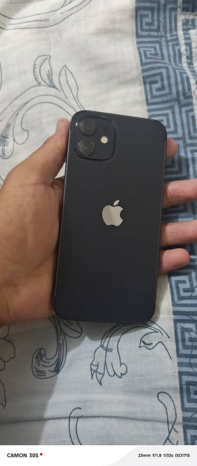 Apple iPhone 12