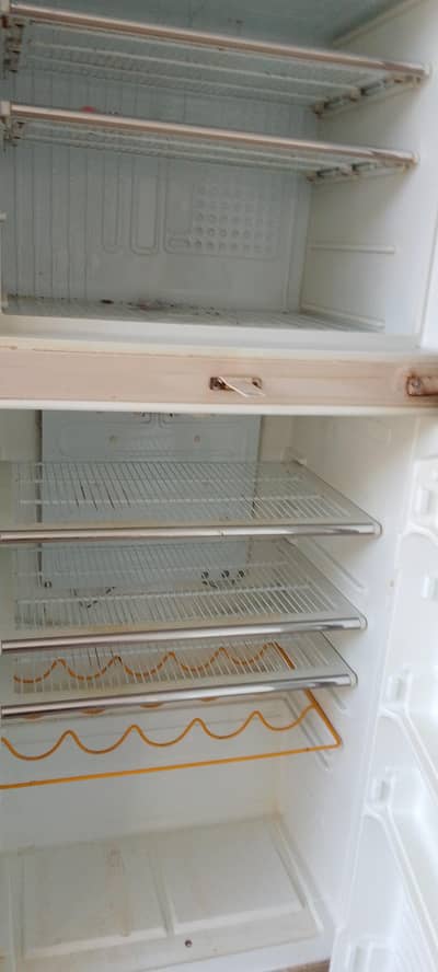 freezer
