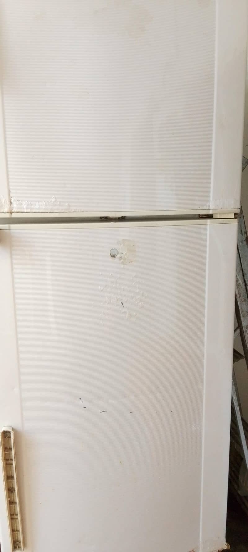 freezer 1