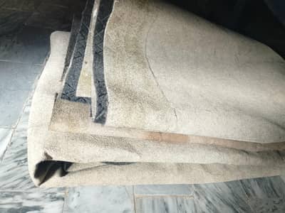 Carpet