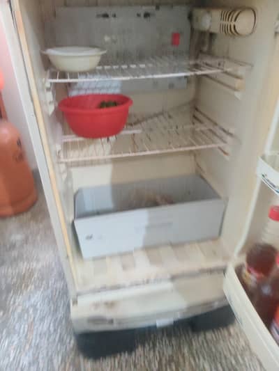Fridge