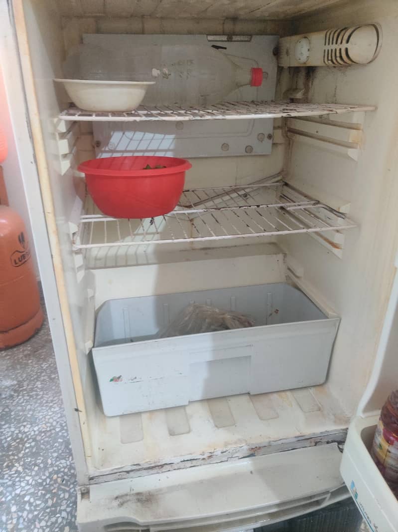 Fridge 1