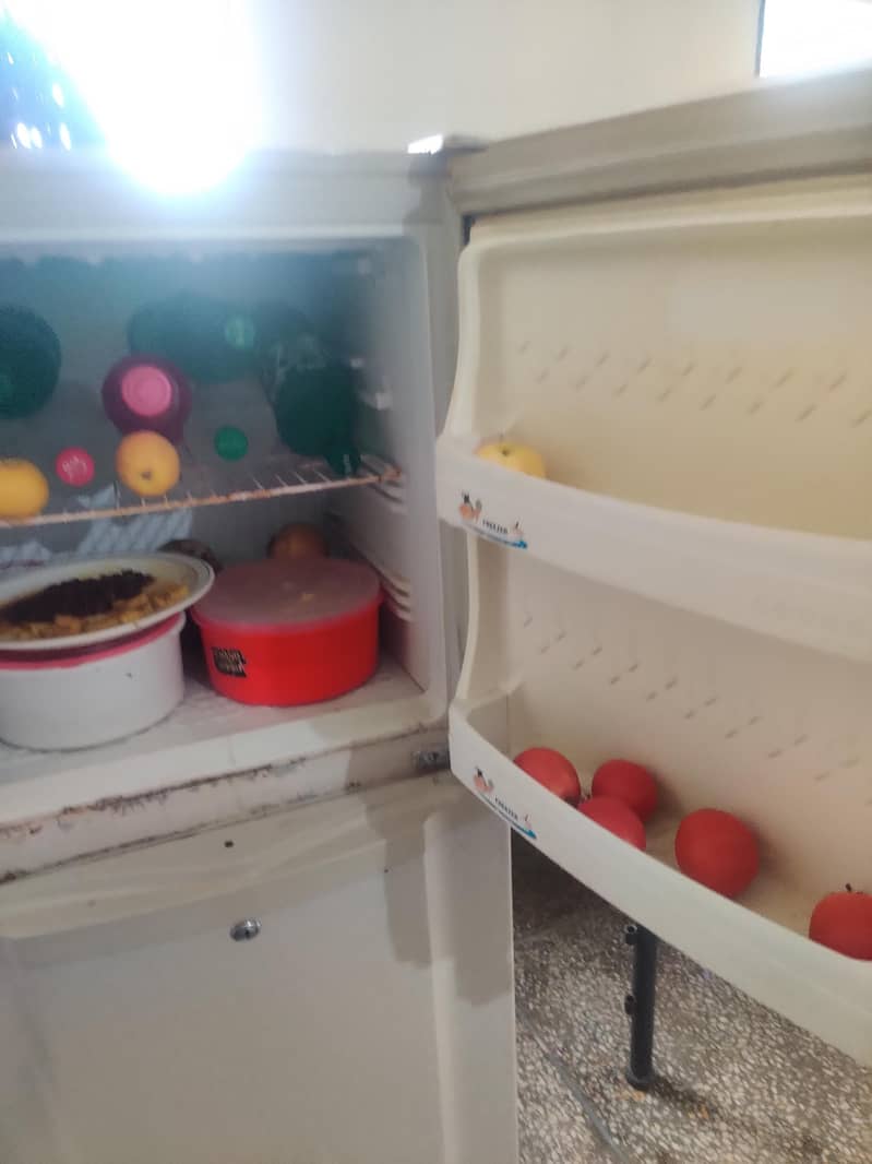 Fridge 2