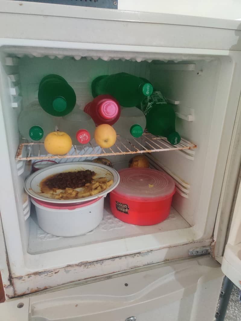 Fridge 5