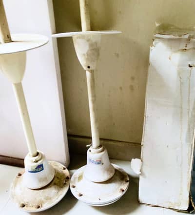 Ceiling Fans