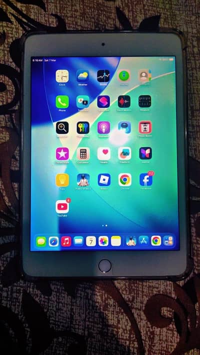 ipad mini 5  64 gb with charger