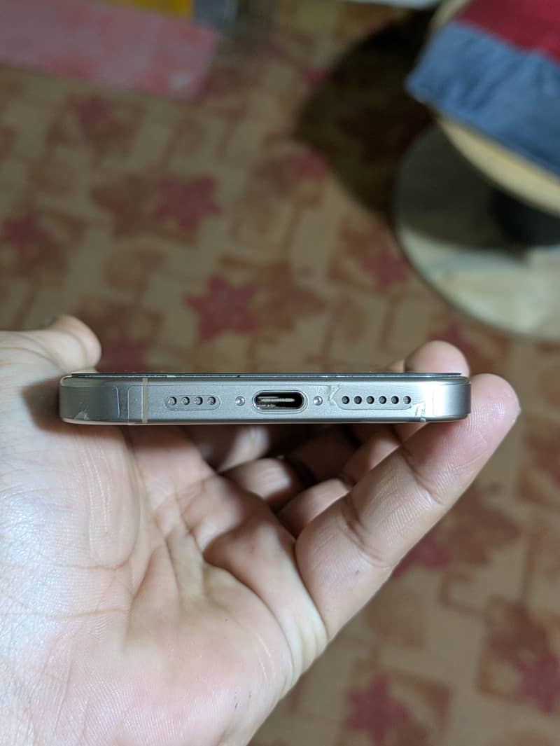 Apple iPhone 16 Pro Max 1