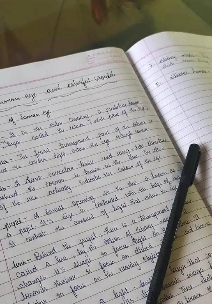 Assignment writing 0