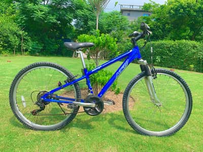 BEGESTONE IMPORTED BICYCLE